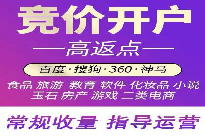 SEM主管实战技巧：案例分享与解读